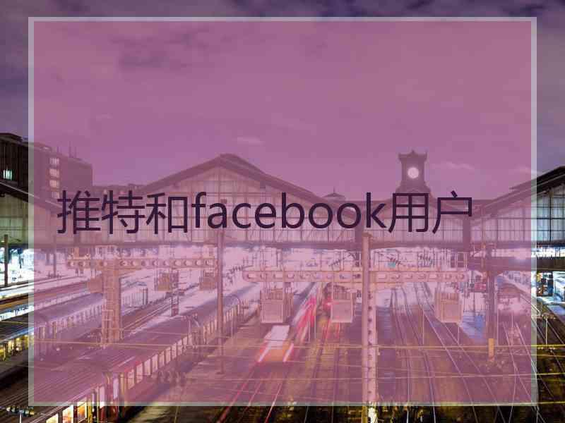 推特和facebook用户