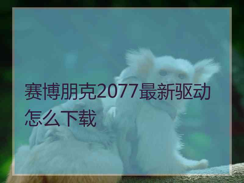 赛博朋克2077最新驱动怎么下载