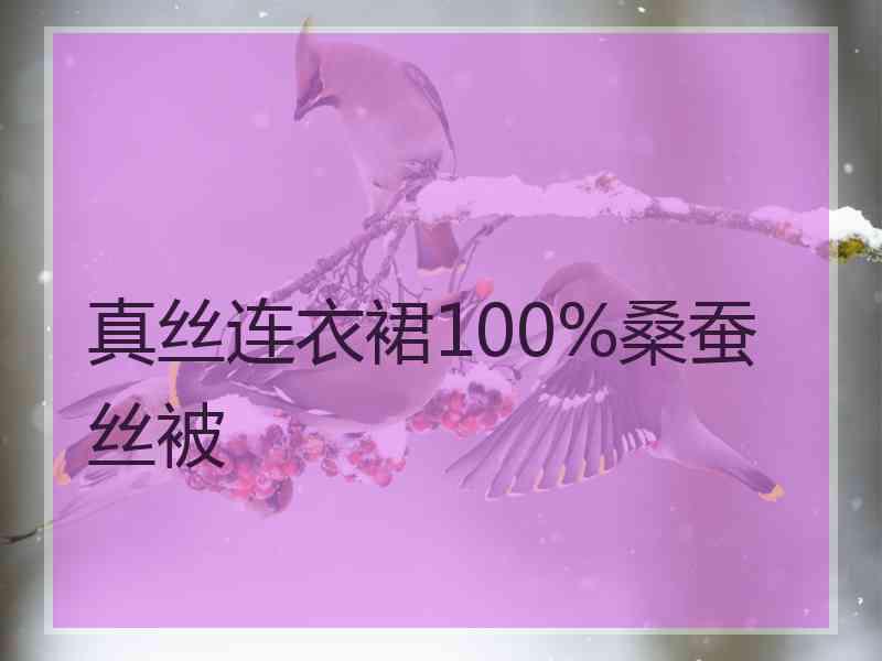 真丝连衣裙100%桑蚕丝被