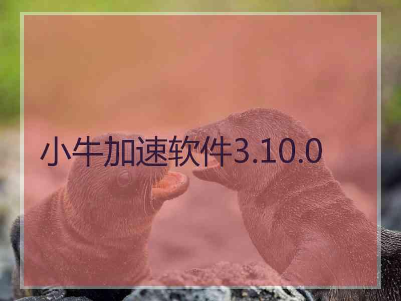 小牛加速软件3.10.0