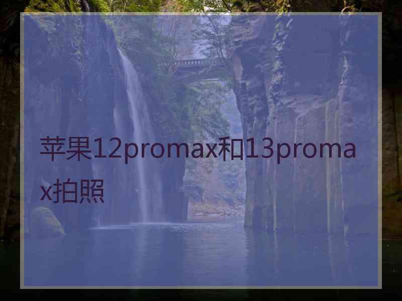 苹果12promax和13promax拍照