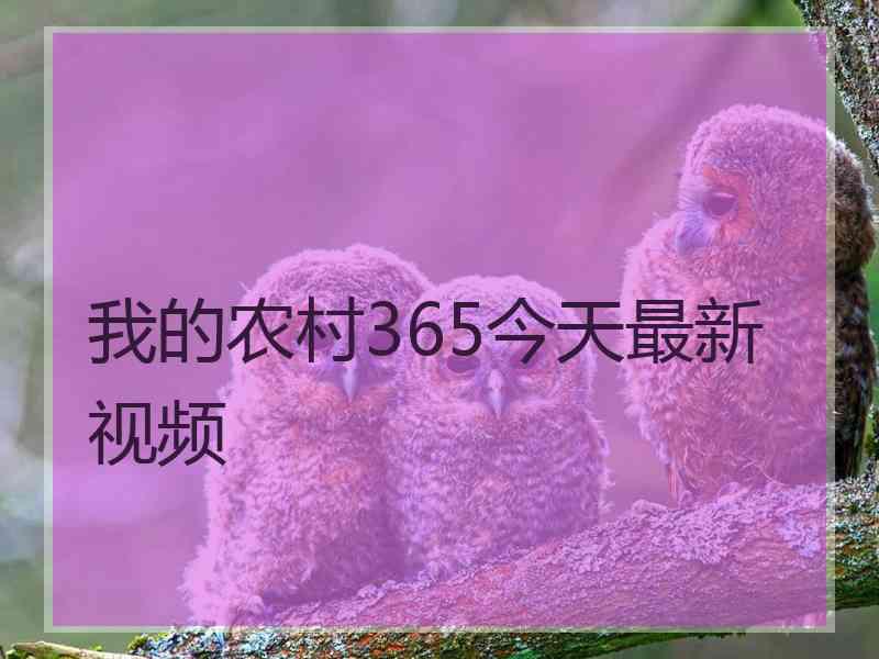 我的农村365今天最新视频