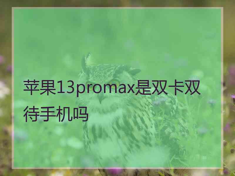 苹果13promax是双卡双待手机吗