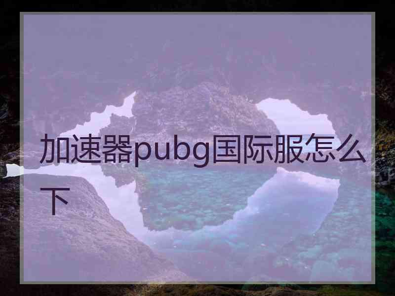 加速器pubg国际服怎么下