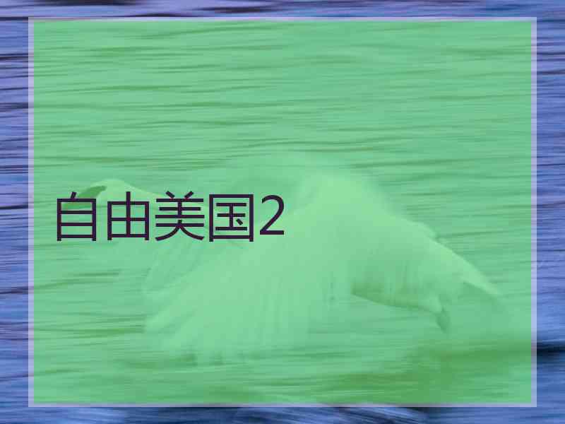 自由美国2