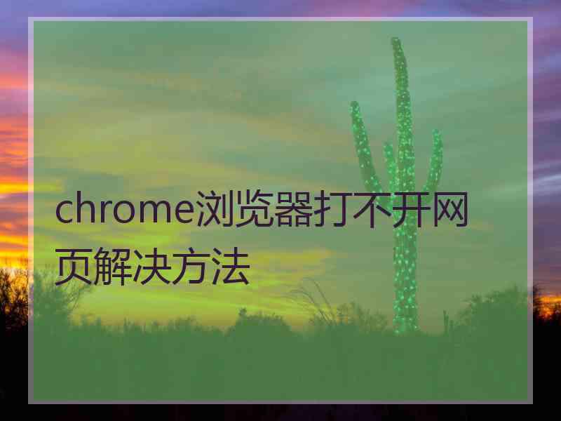 chrome浏览器打不开网页解决方法