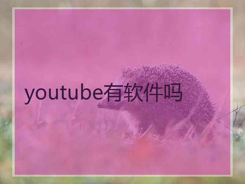 youtube有软件吗