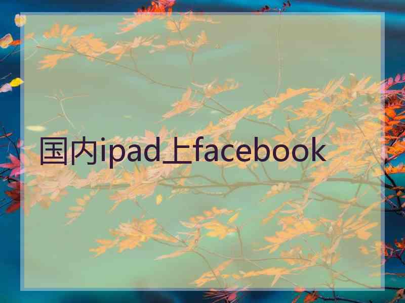 国内ipad上facebook