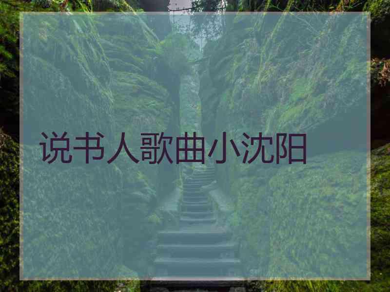 说书人歌曲小沈阳