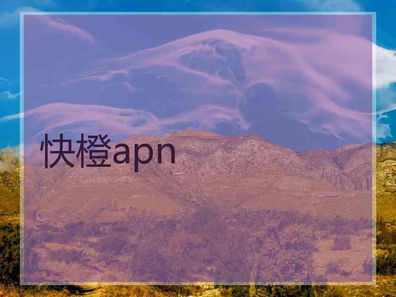 快橙apn