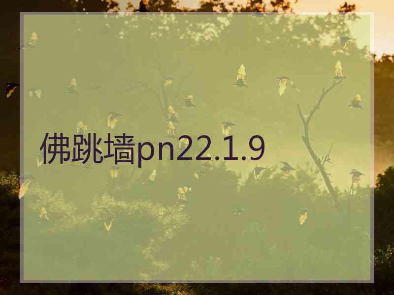 佛跳墙pn22.1.9