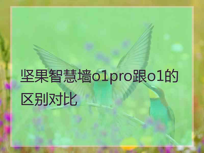 坚果智慧墙o1pro跟o1的区别对比