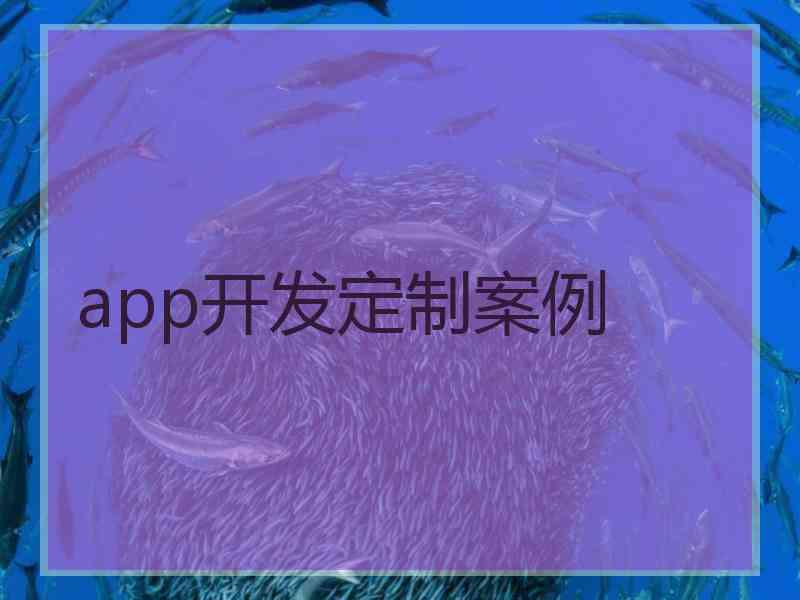 app开发定制案例