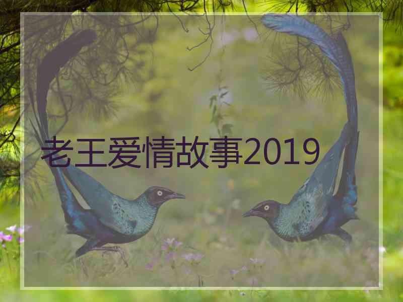 老王爱情故事2019