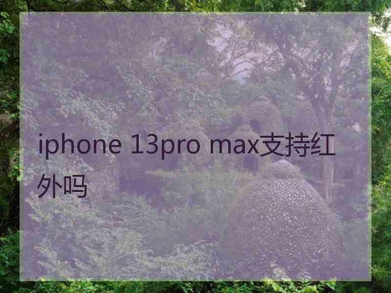 iphone 13pro max支持红外吗