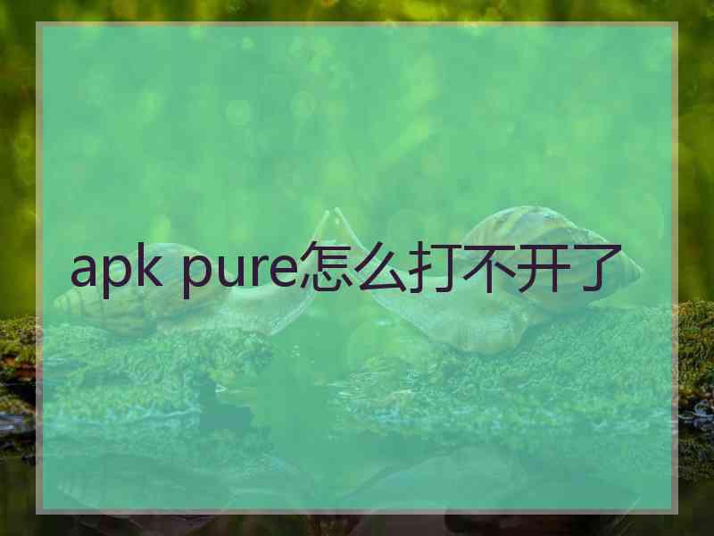 apk pure怎么打不开了