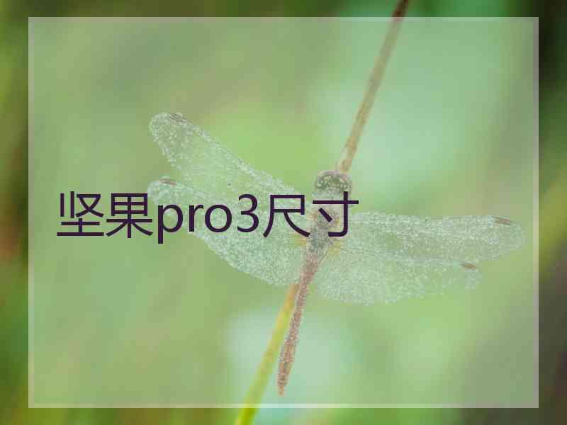 坚果pro3尺寸