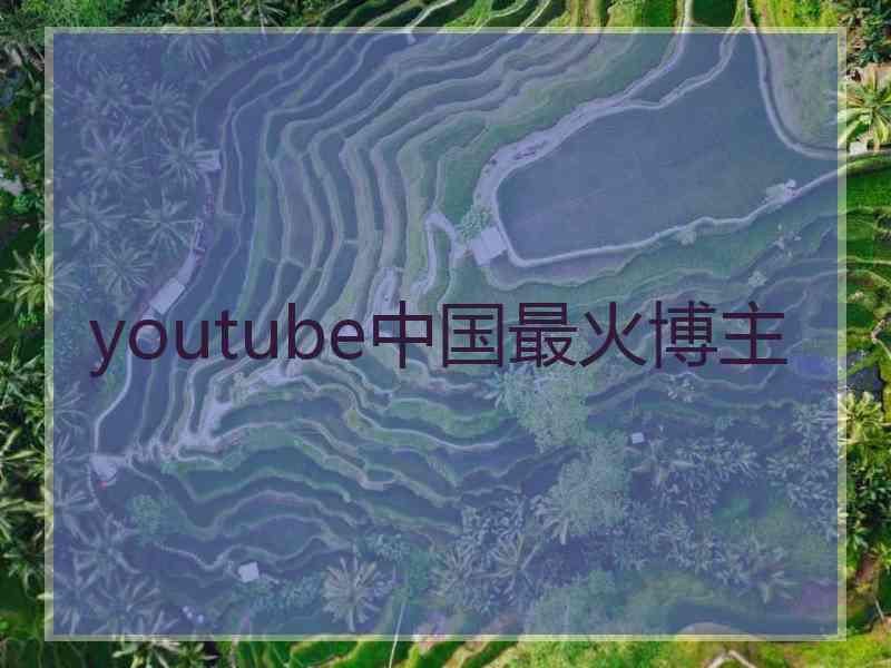 youtube中国最火博主