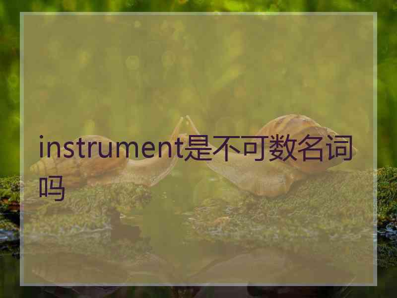 instrument是不可数名词吗