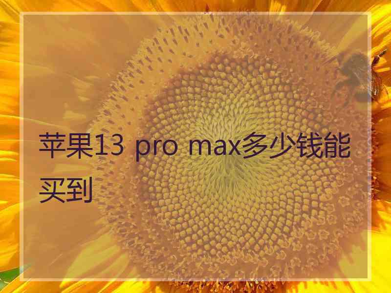 苹果13 pro max多少钱能买到