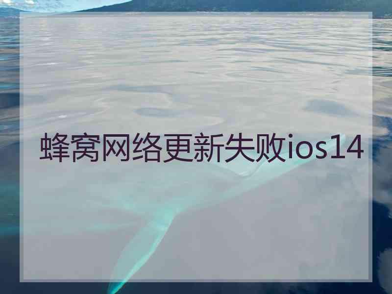 蜂窝网络更新失败ios14