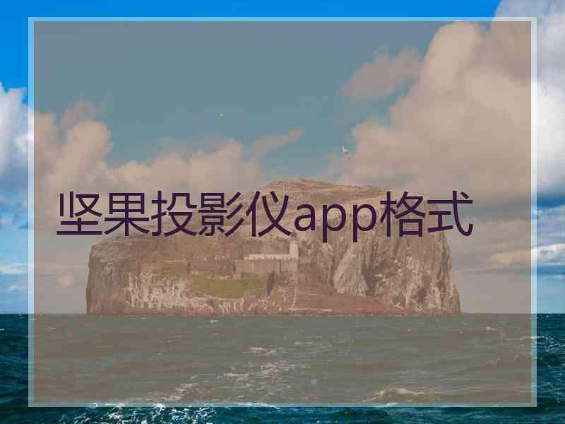 坚果投影仪app格式