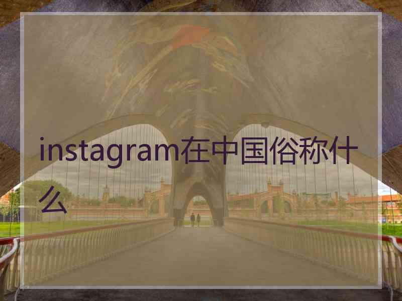 instagram在中国俗称什么