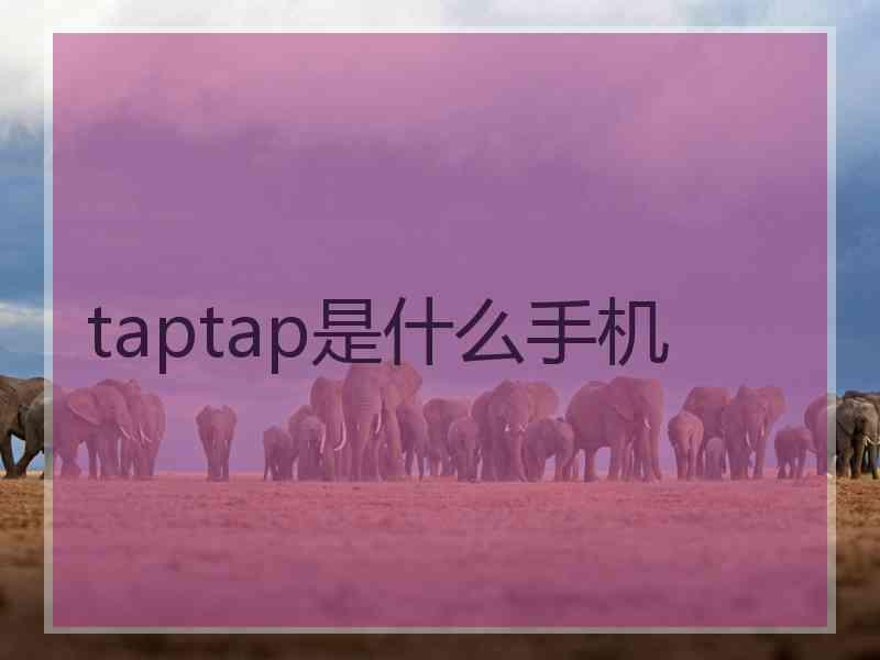 taptap是什么手机