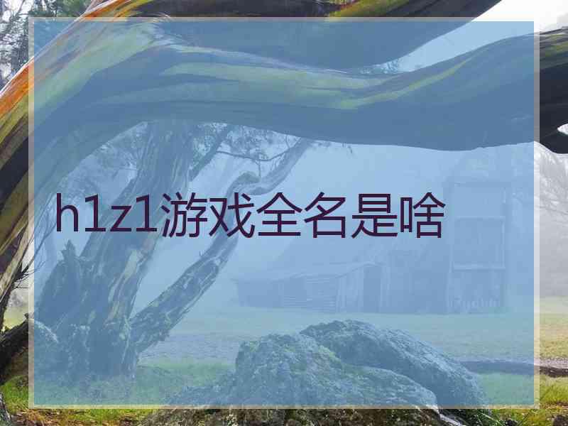 h1z1游戏全名是啥