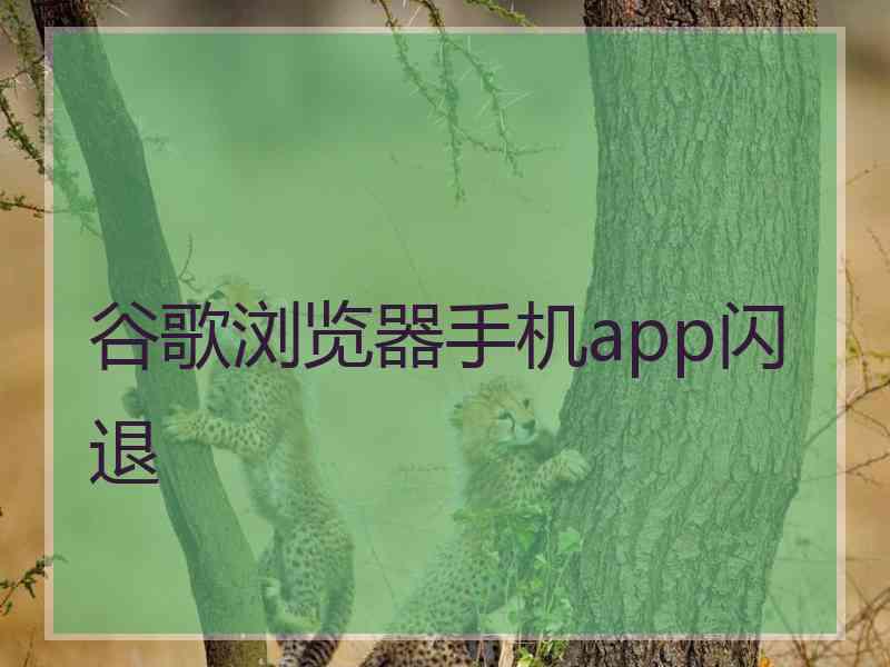 谷歌浏览器手机app闪退