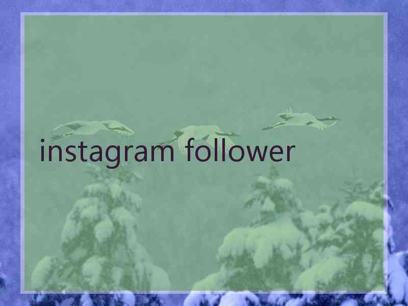 instagram follower