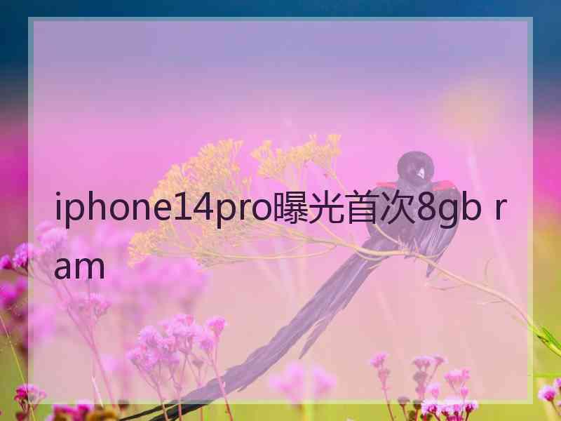 iphone14pro曝光首次8gb ram