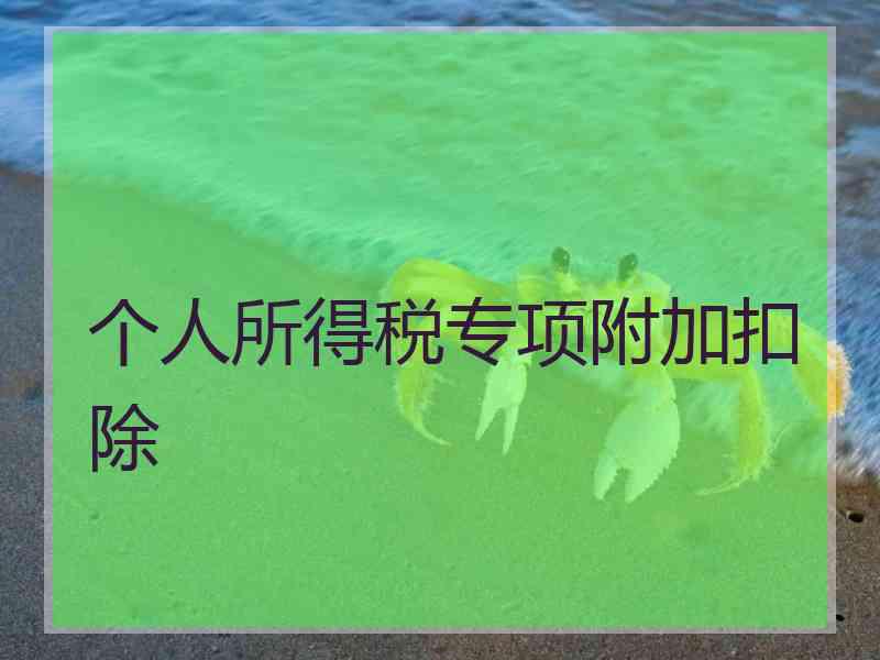 个人所得税专项附加扣除