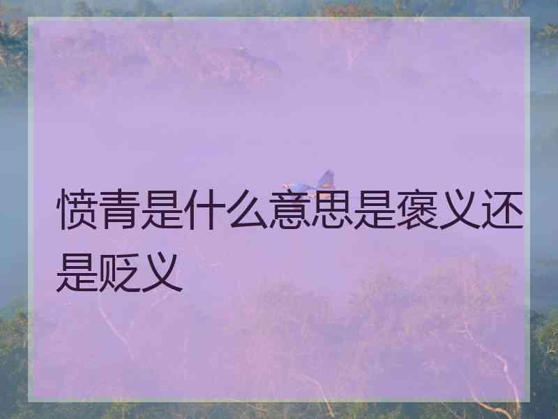 愤青是什么意思是褒义还是贬义