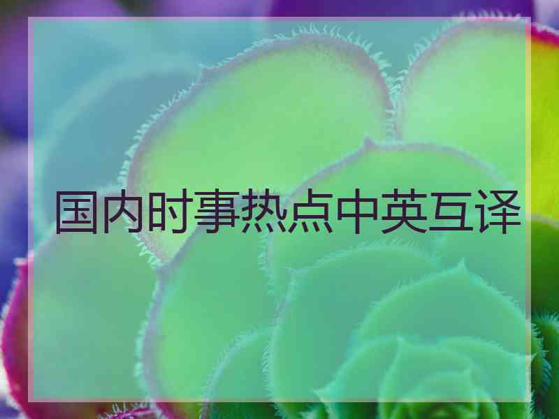 国内时事热点中英互译