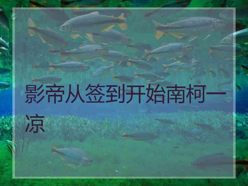 影帝从签到开始南柯一凉