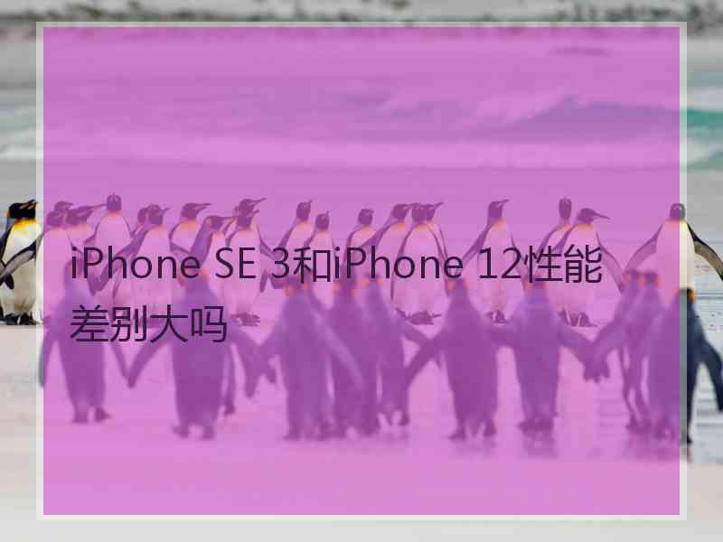 iPhone SE 3和iPhone 12性能差别大吗