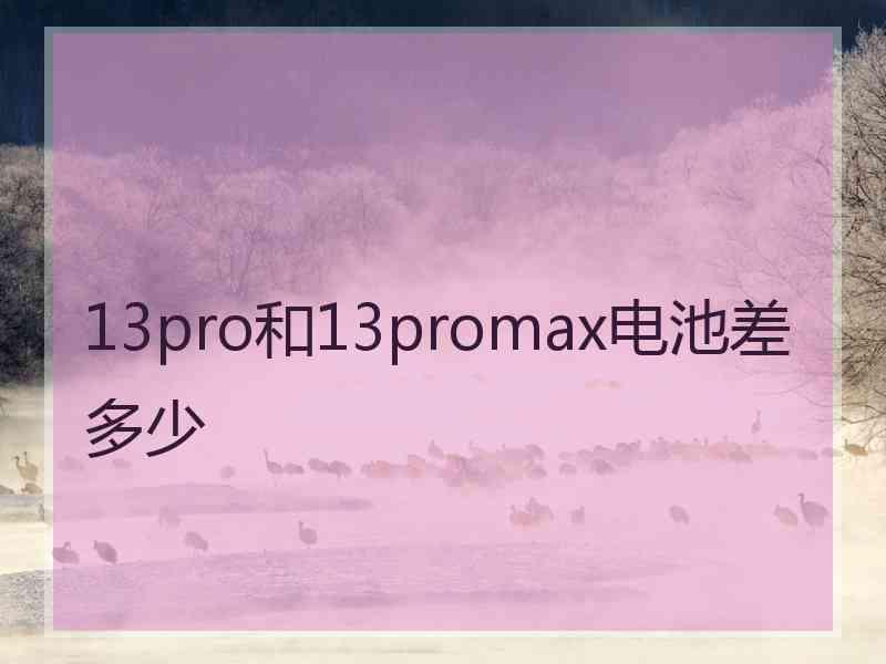 13pro和13promax电池差多少