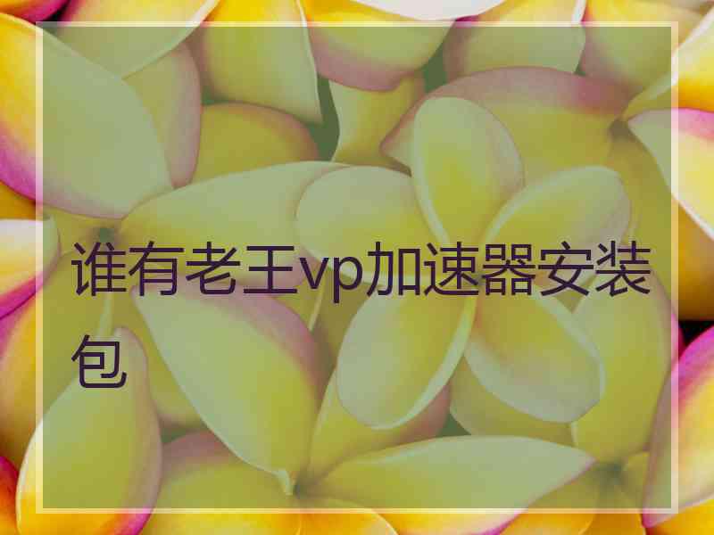 谁有老王vp加速器安装包