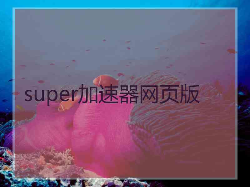 super加速器网页版