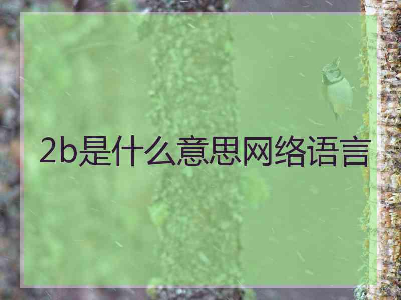 2b是什么意思网络语言