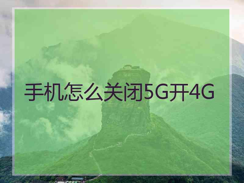 手机怎么关闭5G开4G