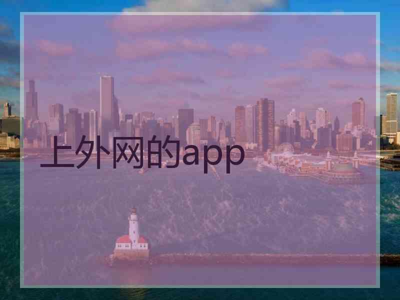 上外网的app