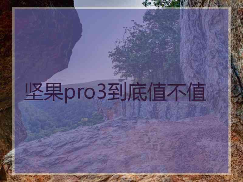 坚果pro3到底值不值