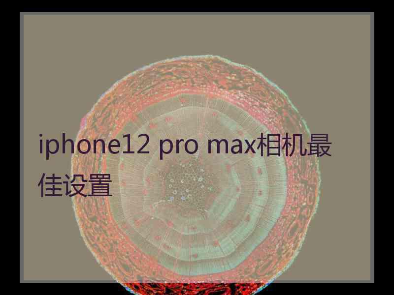 iphone12 pro max相机最佳设置