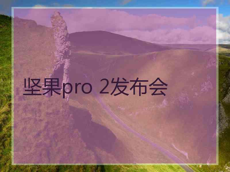 坚果pro 2发布会