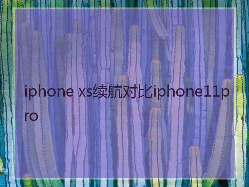 iphone xs续航对比iphone11pro