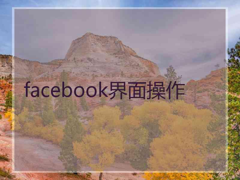 facebook界面操作