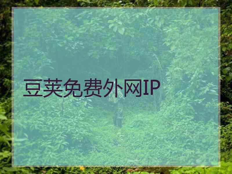 豆荚免费外网IP