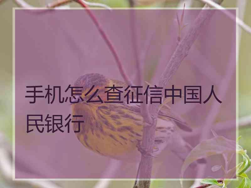 手机怎么查征信中国人民银行